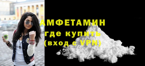 гидра Бородино