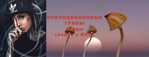 МДПВ Бугульма