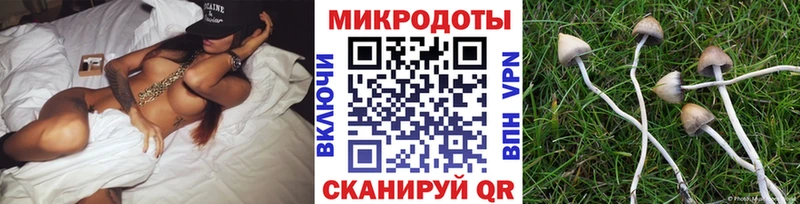 Псилоцибиновые грибы мицелий  гидра ссылки  Северо-Курильск 